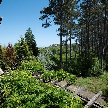 Miomare, Santa Marina Village, Apartament *